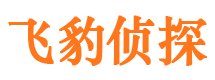 原平市侦探调查公司